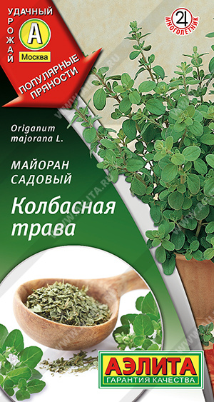Майоран садовый Колбасная трава - фото Майоран садовый Колбасная трава - фото