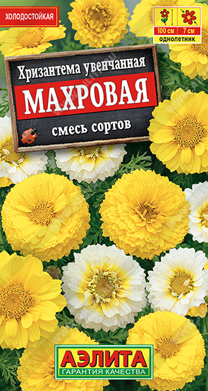 Хризантема увенчанная Махровая, смесь сортов - фото Хризантема увенчанная Махровая, смесь сортов - фото