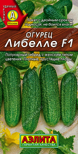 Огурец Либелле F1 - фото Огурец Либелле F1 - фото