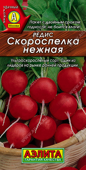 Редис Скороспелка нежная - фото Редис Скороспелка нежная - фото