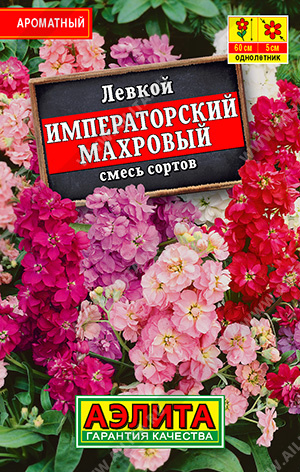 Левкой Императорский махровый, смесь сортов - фото Левкой Императорский махровый, смесь сортов - фото