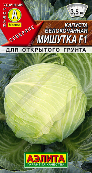 Капуста б/к Мишутка F1 - фото Капуста б/к Мишутка F1 - фото
