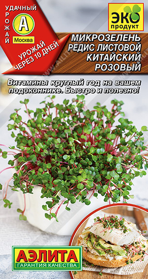 Микрозелень Редис листовой Китайский розовый - фото Микрозелень Редис листовой Китайский розовый - фото