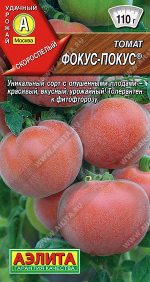 Томат Фокус-покус - фото Томат Фокус-покус - фото
