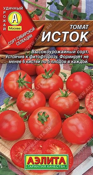 Томат Исток - фото Томат Исток - фото