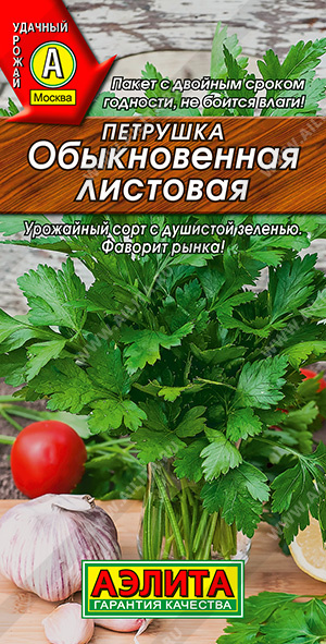 Петрушка Обыкновенная Листовая - фото Петрушка Обыкновенная Листовая - фото