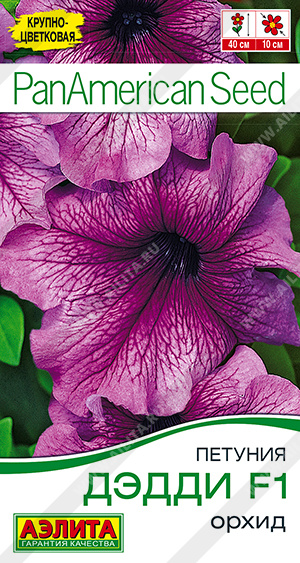 Петуния Дэдди F1 орхид - фото Петуния Дэдди F1 орхид - фото