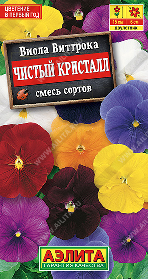 Виола Чистый кристалл, смесь сортов - фото Виола Чистый кристалл, смесь сортов - фото