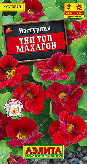 Настурция Тип топ махагон - фото Настурция Тип топ махагон - фото
