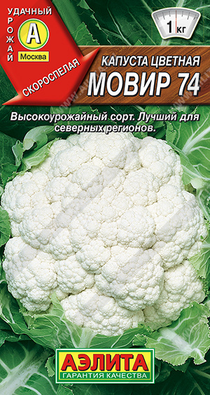 Капуста цветная Мовир 74 - фото Капуста цветная Мовир 74 - фото