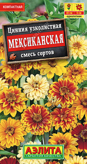Цинния Мексиканская, смесь окрасок - фото Цинния Мексиканская, смесь окрасок - фото