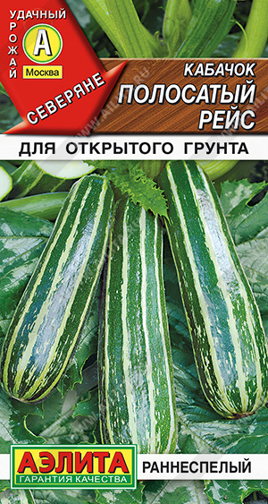 Кабачок цуккини Полосатый рейс - фото Кабачок цуккини Полосатый рейс - фото