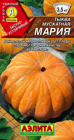 Тыква мускатная Мария - фото Тыква мускатная Мария - фото
