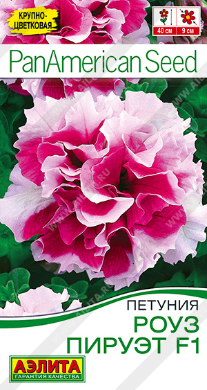 Петуния Роуз пируэт F1 крупноцветковая махровая - фото Петуния Роуз пируэт F1 крупноцветковая махровая - фото