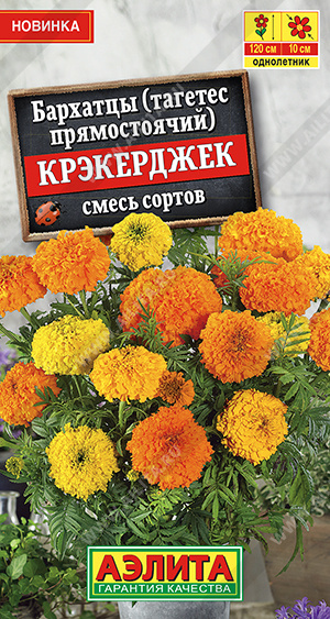 Бархатцы Крэкерджек прямостоячие, смесь сортов - фото Бархатцы Крэкерджек прямостоячие, смесь сортов - фото