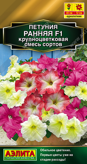 Петуния Ранняя F1 крупноцветковая, смесь сортов - фото Петуния Ранняя F1 крупноцветковая, смесь сортов - фото