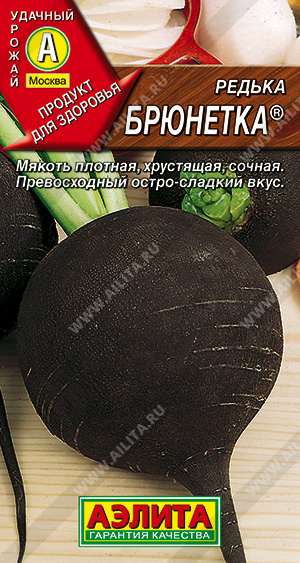 Редька Брюнетка - фото Редька Брюнетка - фото