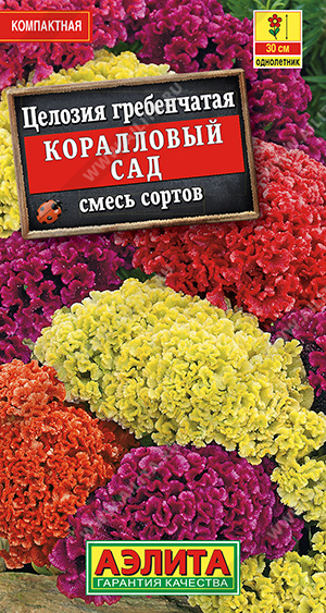 Целозия гребенчатая Коралловый сад, смесь сортов - фото Целозия гребенчатая Коралловый сад, смесь сортов - фото