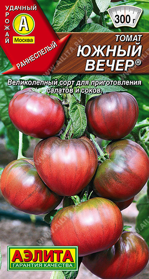 Томат Южный вечер - фото Томат Южный вечер - фото
