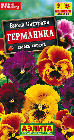 Виола Германика, смесь сортов - фото Виола Германика, смесь сортов - фото