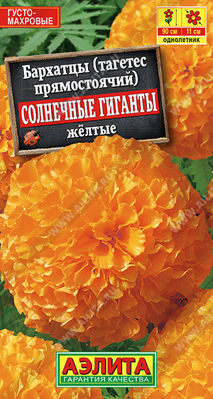 Бархатцы Солнечные гиганты желтые - фото Бархатцы Солнечные гиганты желтые - фото