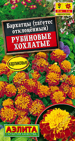 Бархатцы Рубиновые хохлатые отклоненные - фото Бархатцы Рубиновые хохлатые отклоненные - фото