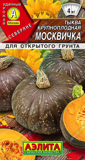 Тыква крупноплодная Москвичка - фото Тыква крупноплодная Москвичка - фото