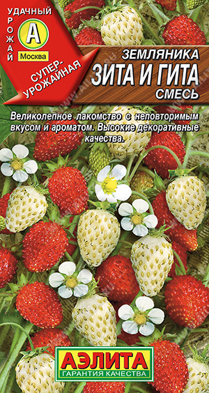 Земляника Зита и Гита, смесь - фото Земляника Зита и Гита, смесь - фото