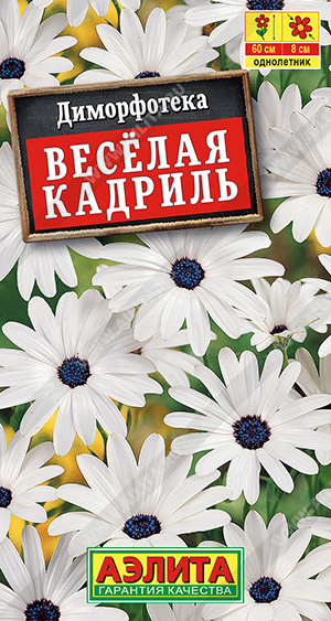 Диморфотека Веселая кадриль - фото Диморфотека Веселая кадриль - фото