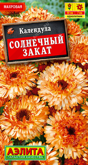 Календула Солнечный закат - фото Календула Солнечный закат - фото
