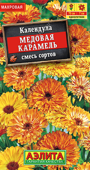 Календула Медовая карамель, смесь сортов - фото Календула Медовая карамель, смесь сортов - фото