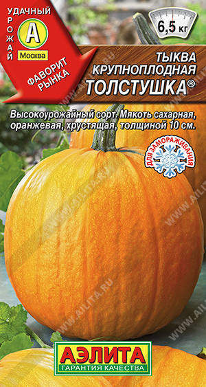 Тыква крупноплодная Толстушка ® - фото Тыква крупноплодная Толстушка ® - фото