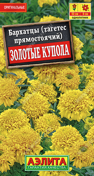 Бархатцы Золотые купола прямостоячие - фото Бархатцы Золотые купола прямостоячие - фото