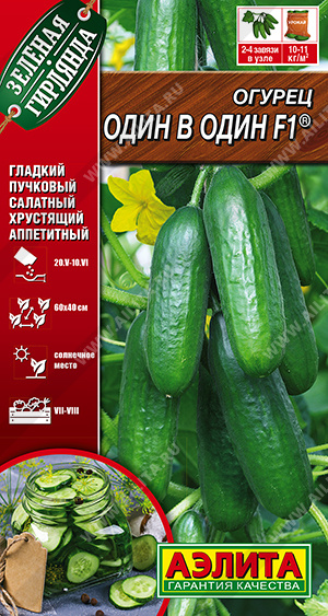 Огурец Один в один F1 ® - фото Огурец Один в один F1 ® - фото