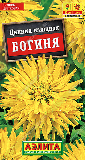 Цинния Богиня кактусовидная - фото Цинния Богиня кактусовидная - фото