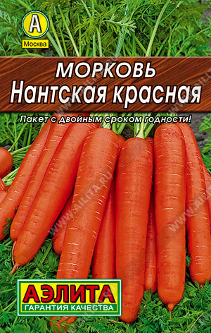 Морковь нантская фото