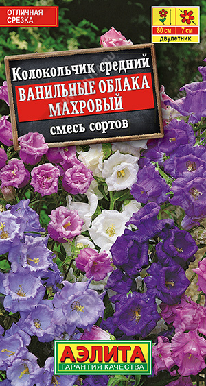 Колокольчик Ванильные облака, смесь сортов - фото Колокольчик Ванильные облака, смесь сортов - фото
