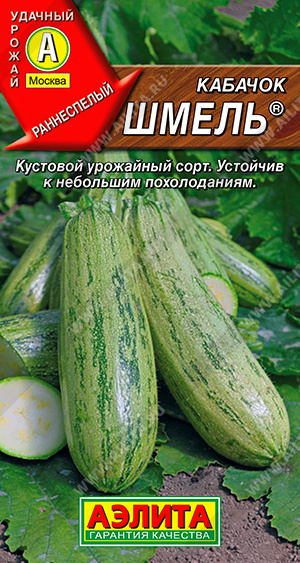 Кабачок цуккини Шмель ® - фото Кабачок цуккини Шмель ® - фото