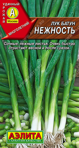 Лук батун Нежность - фото Лук батун Нежность - фото