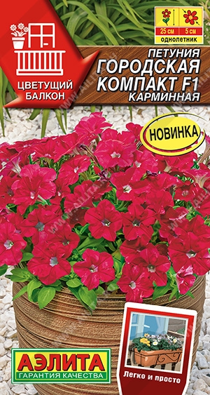 Петуния Городская компакт F1 карминная - фото Петуния Городская компакт F1 карминная - фото