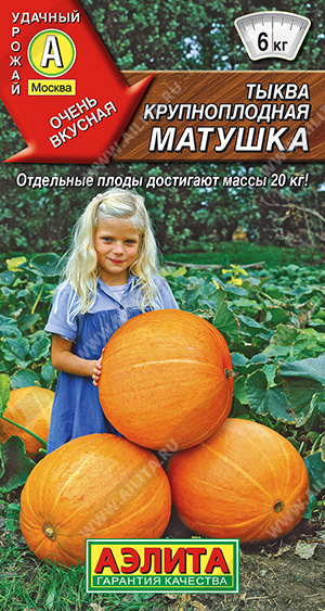 Тыква крупноплодная Матушка - фото Тыква крупноплодная Матушка - фото