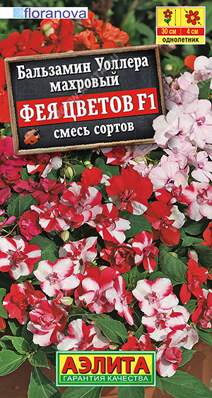 Бальзамин махровый Фея цветов F1, смесь сортов - фото Бальзамин махровый Фея цветов F1, смесь сортов - фото