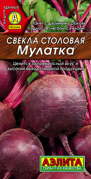 Свекла столовая Мулатка - фото Свекла столовая Мулатка - фото