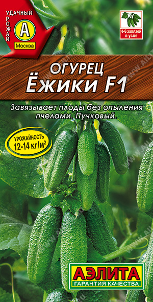 Огурец Ежики F1 - фото Огурец Ежики F1 - фото