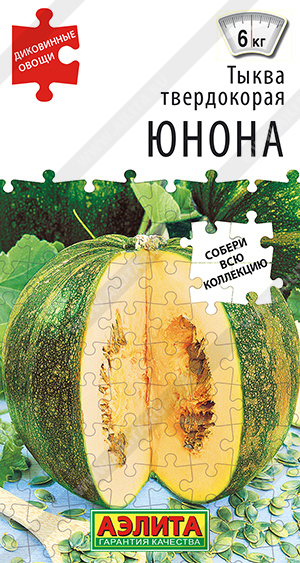 Тыква твердокорая Юнона - фото Тыква твердокорая Юнона - фото