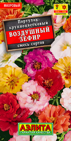 Портулак Воздушный зефир, смесь сортов - фото Портулак Воздушный зефир, смесь сортов - фото