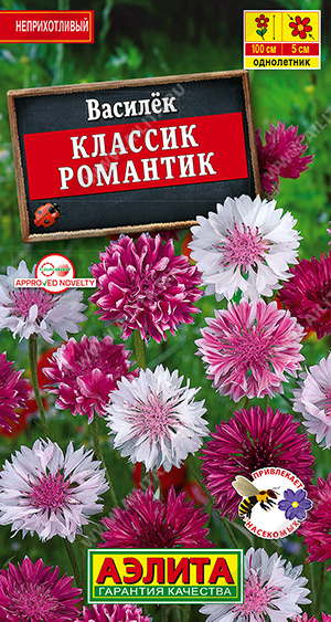 Василек Классик Романтик - фото Василек Классик Романтик - фото
