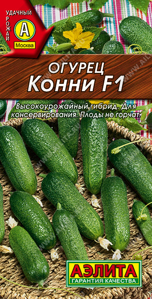 Огурец Конни F1 - фото Огурец Конни F1 - фото