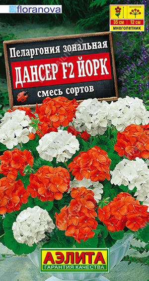 Пеларгония Дансер F2 Йорк, смесь сортов - фото Пеларгония Дансер F2 Йорк, смесь сортов - фото