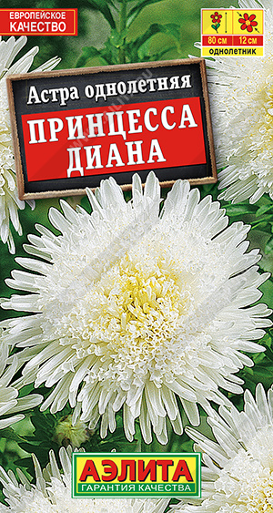 Астра Принцесса Диана - фото Астра Принцесса Диана - фото
